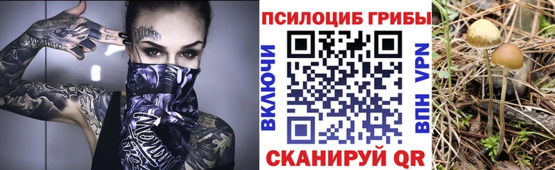 цена наркотик  mega ссылки  Галлюциногенные грибы GOLDEN TEACHER  Ступино 